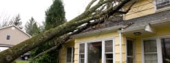 roof repair