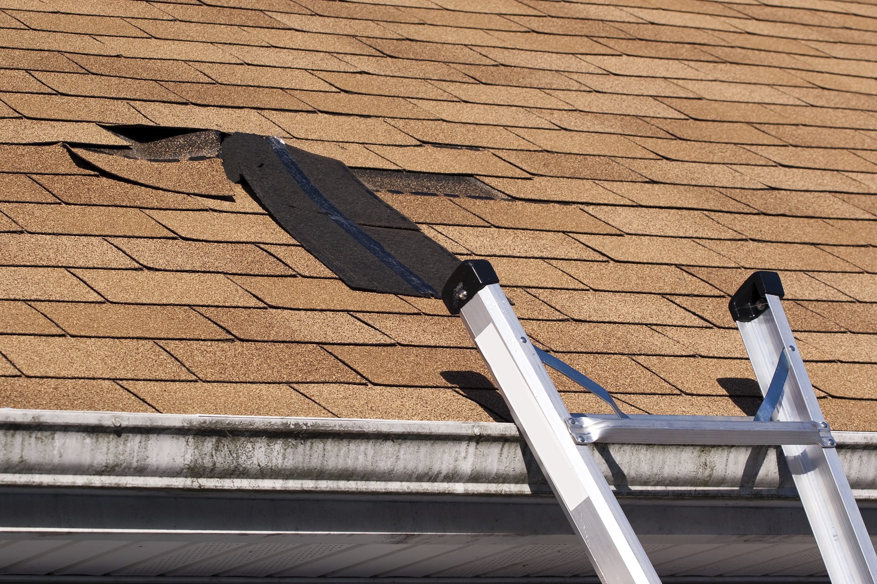 Roof Emergency Repair: Tricks and Tips - Piedmont Roofing