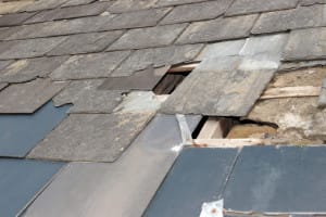Roof Leak Repair | Piedmont Roofing