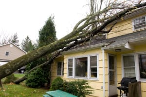 Sudden Roof Damage | Piedmont Roofing