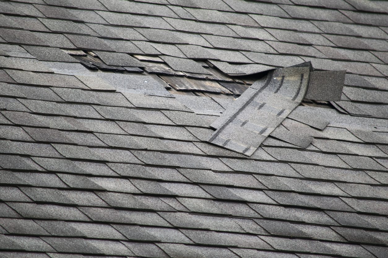 Damaged Roof Shingles | Piedmont Roofing