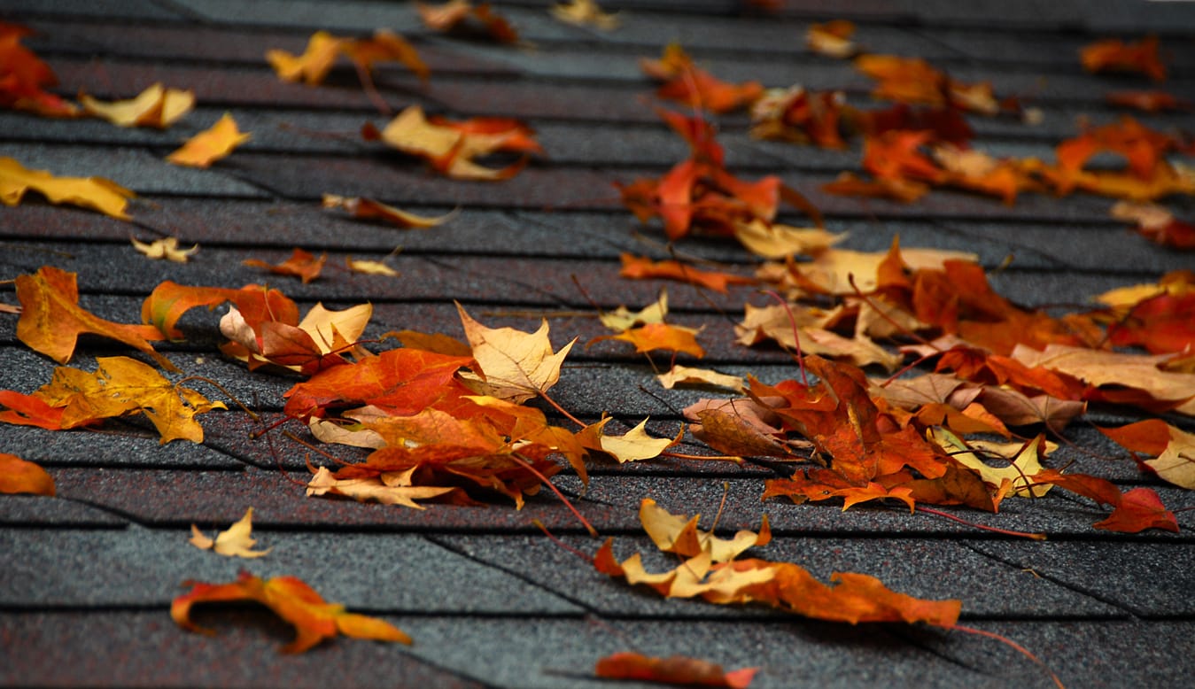 Preparing Roof for Fall | Piedmont Roofing