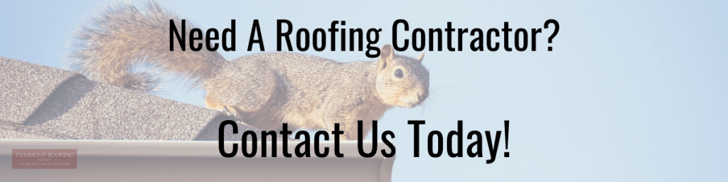 animal roof damage contact us-Piedmont Roofing
